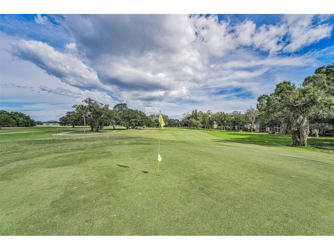 68 Country Club Drive #N/A Largo FL 33771 TB8454632 image31