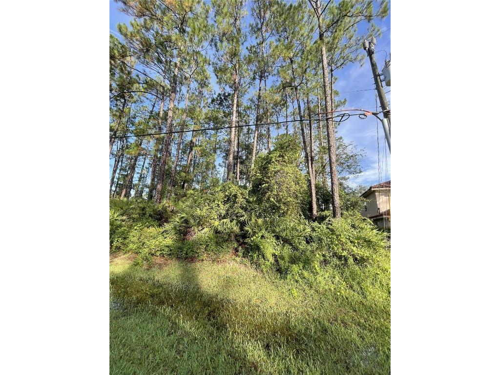 68 Eric Drive Palm Coast FL 32164 FC311820 image1