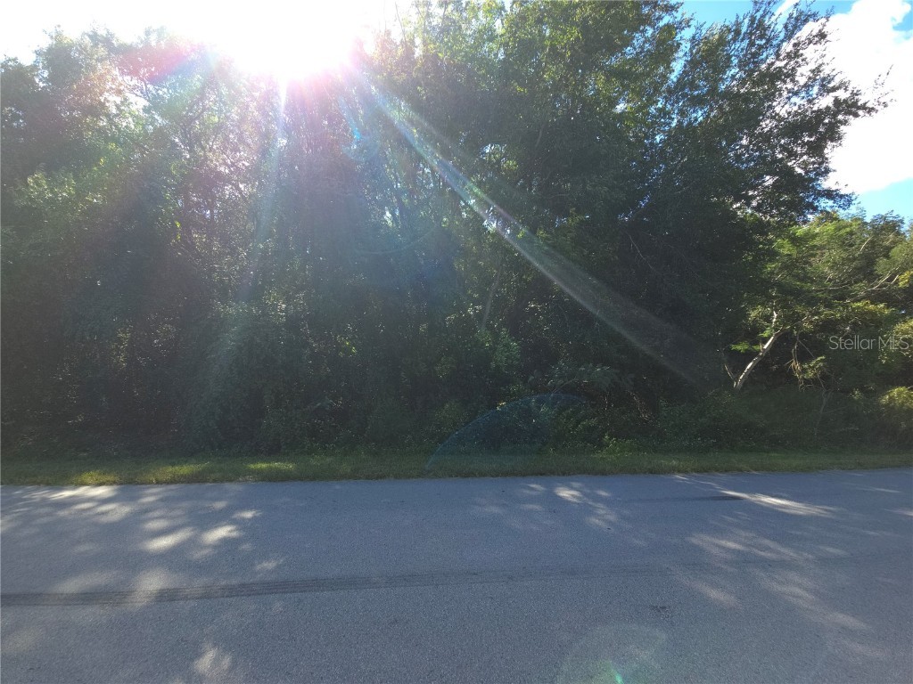 68 Juniper Pass Ocala FL 34480 OM711506 image1