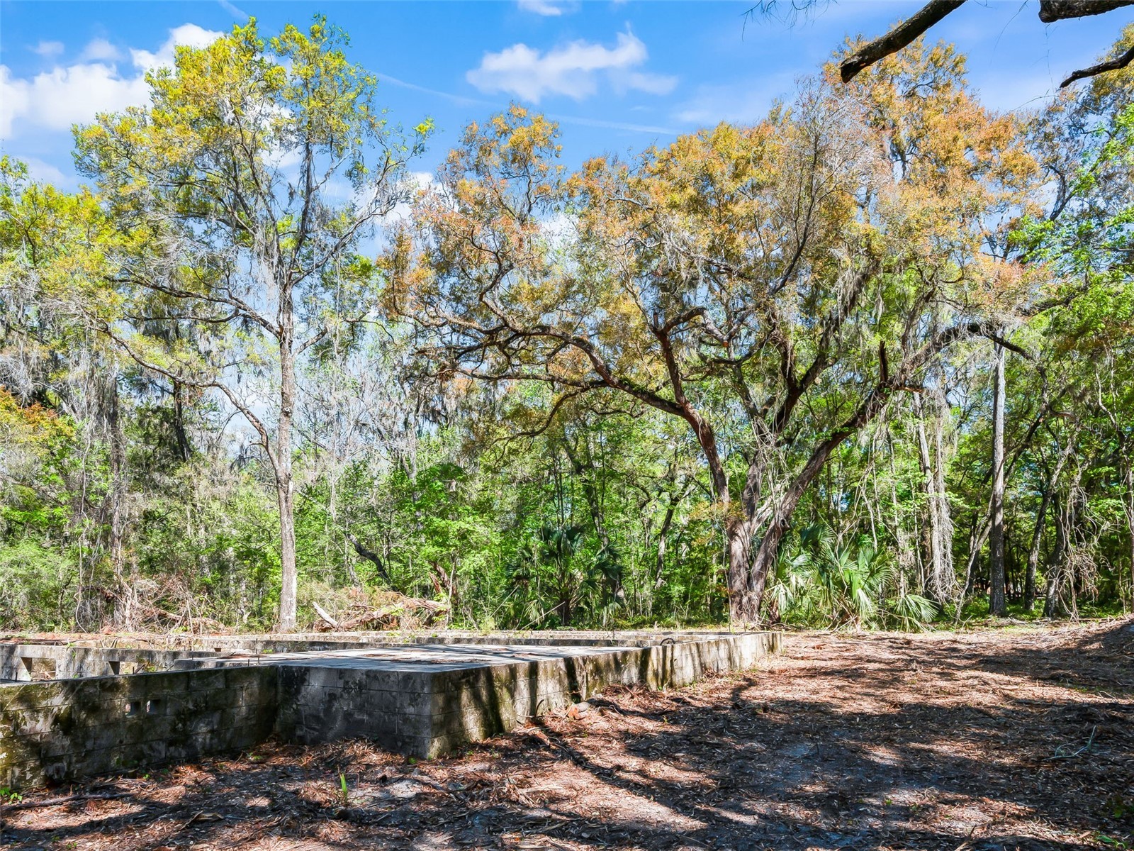 68 Lake View Drive E Ocala FL 34482 OM721139 image11