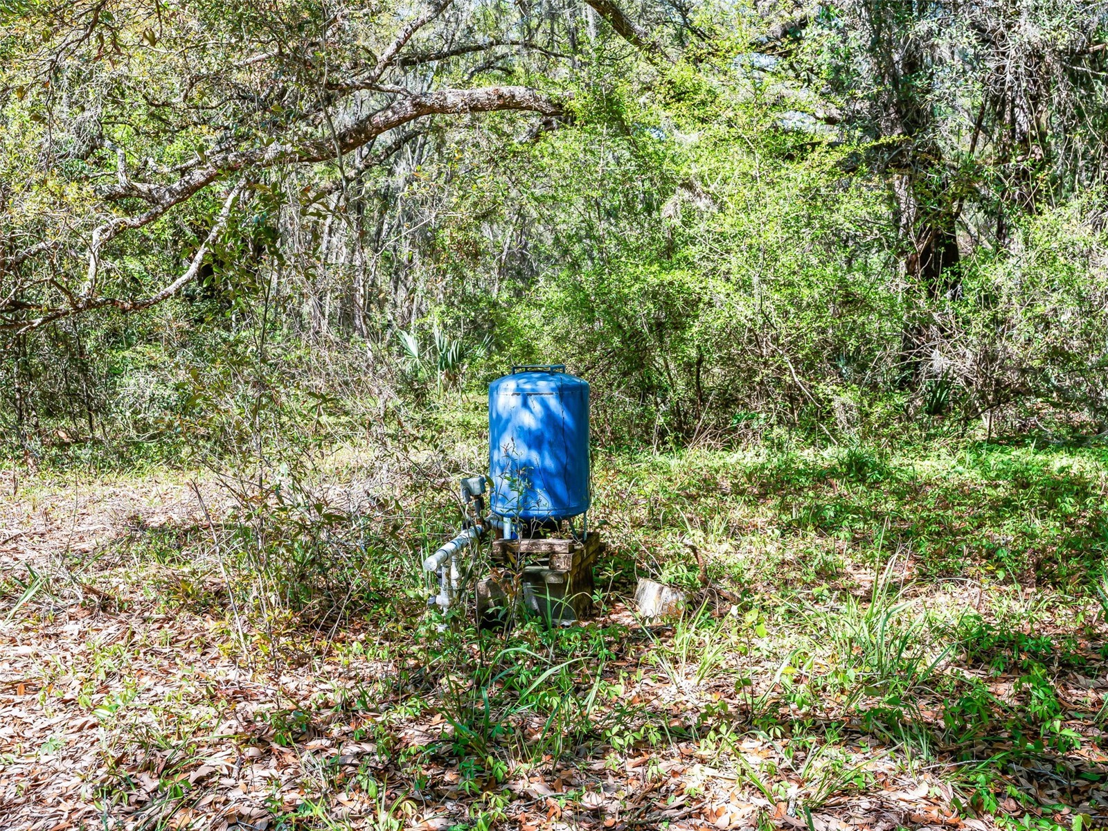 68 Lake View Drive E Ocala FL 34482 OM721139 image16