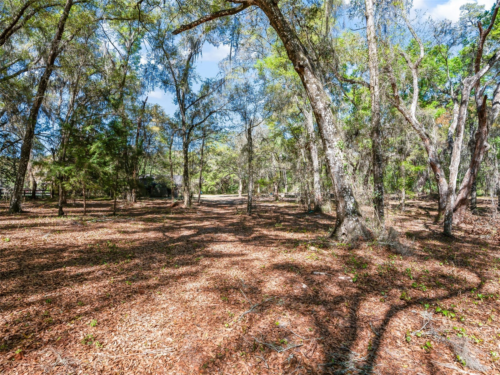 68 Lake View Drive E Ocala FL 34482 OM721139 image8