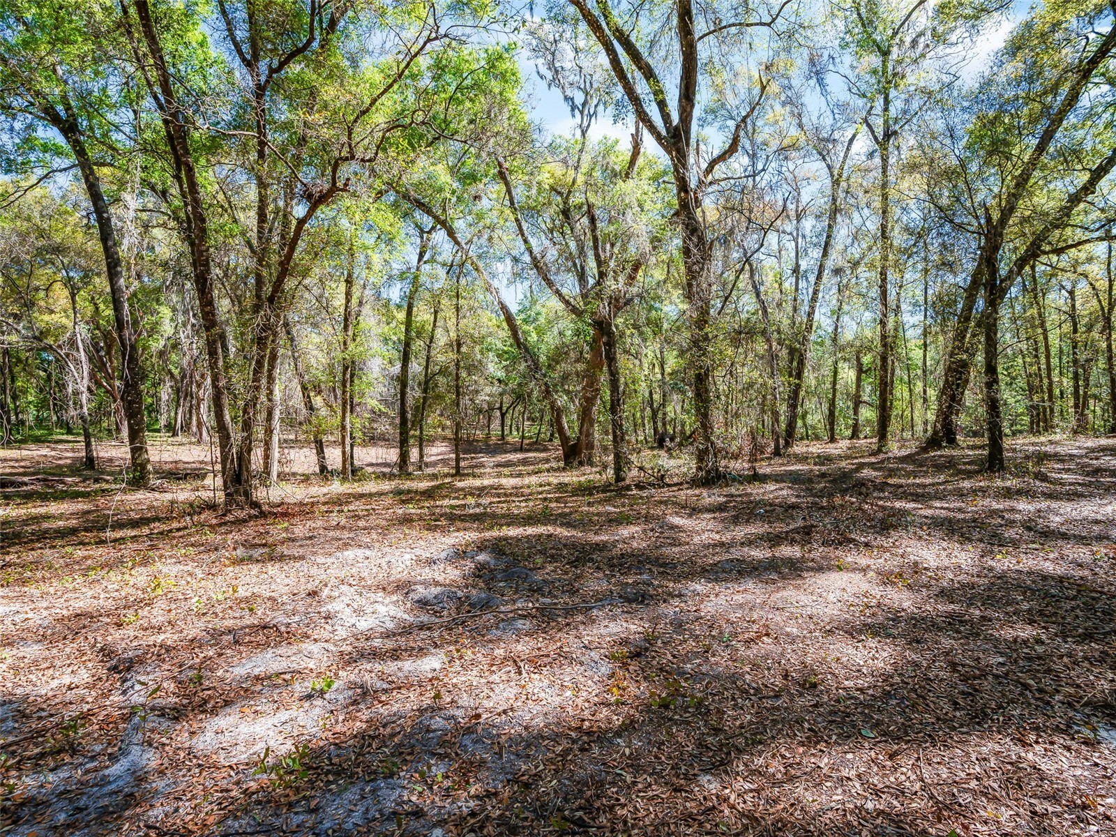 68 Lake View Drive E Ocala FL 34482 OM721139 image9