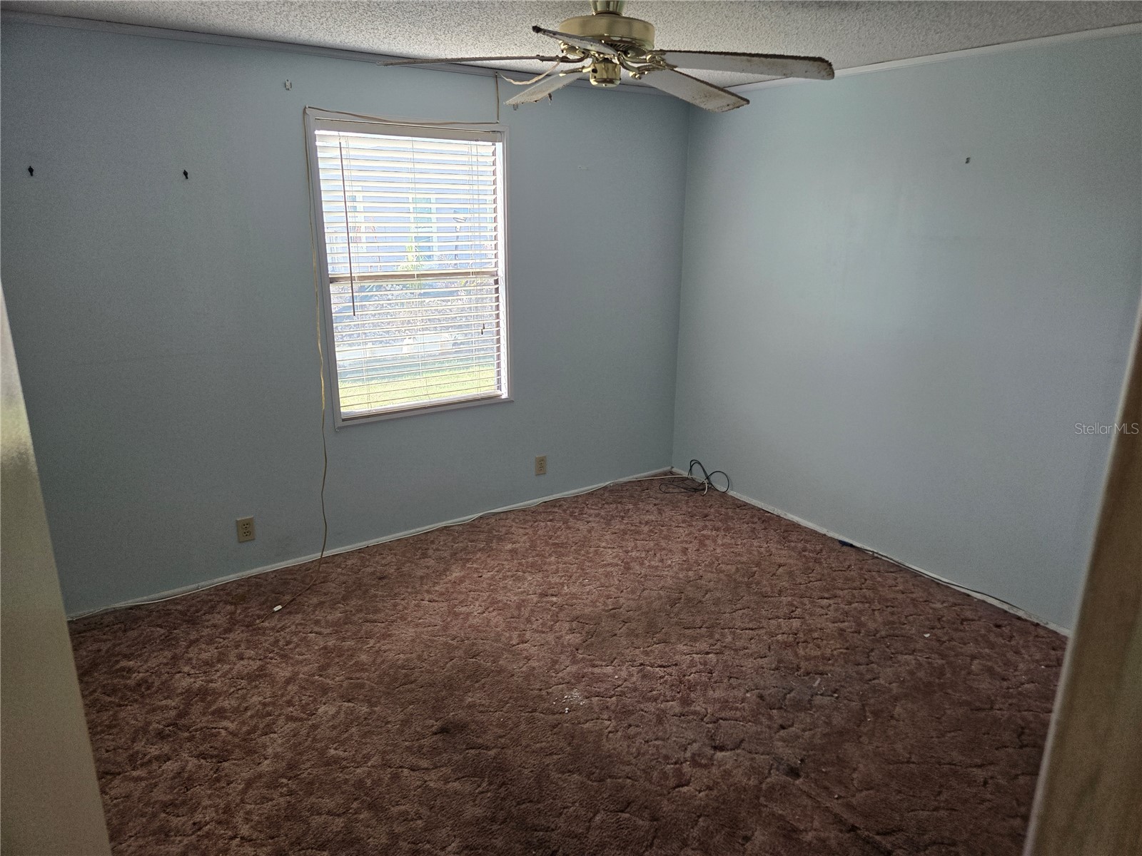 68 Pelican Drive S Oldsmar FL 34677 TB8516585 image11