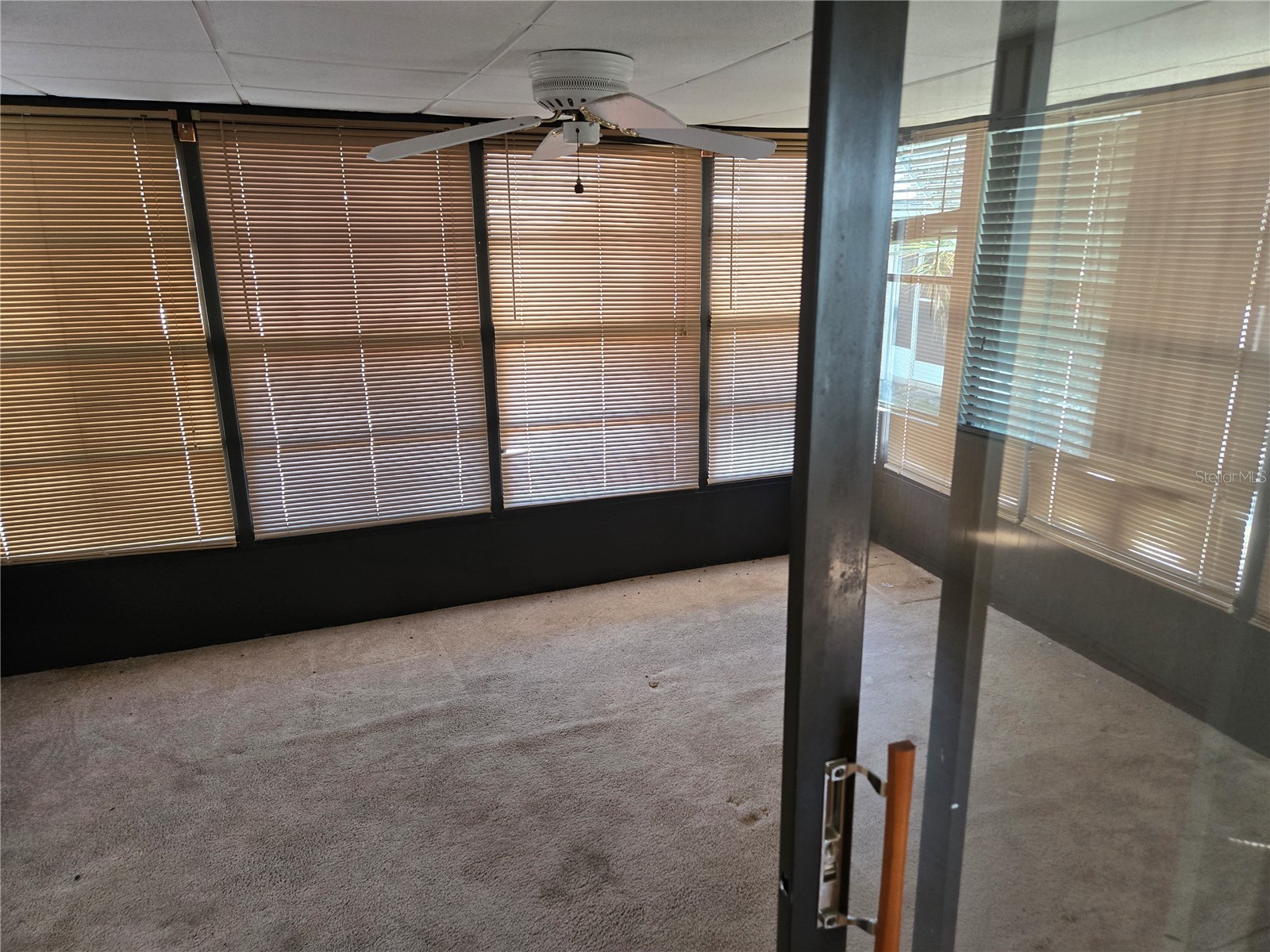 68 Pelican Drive S Oldsmar FL 34677 TB8516585 image12