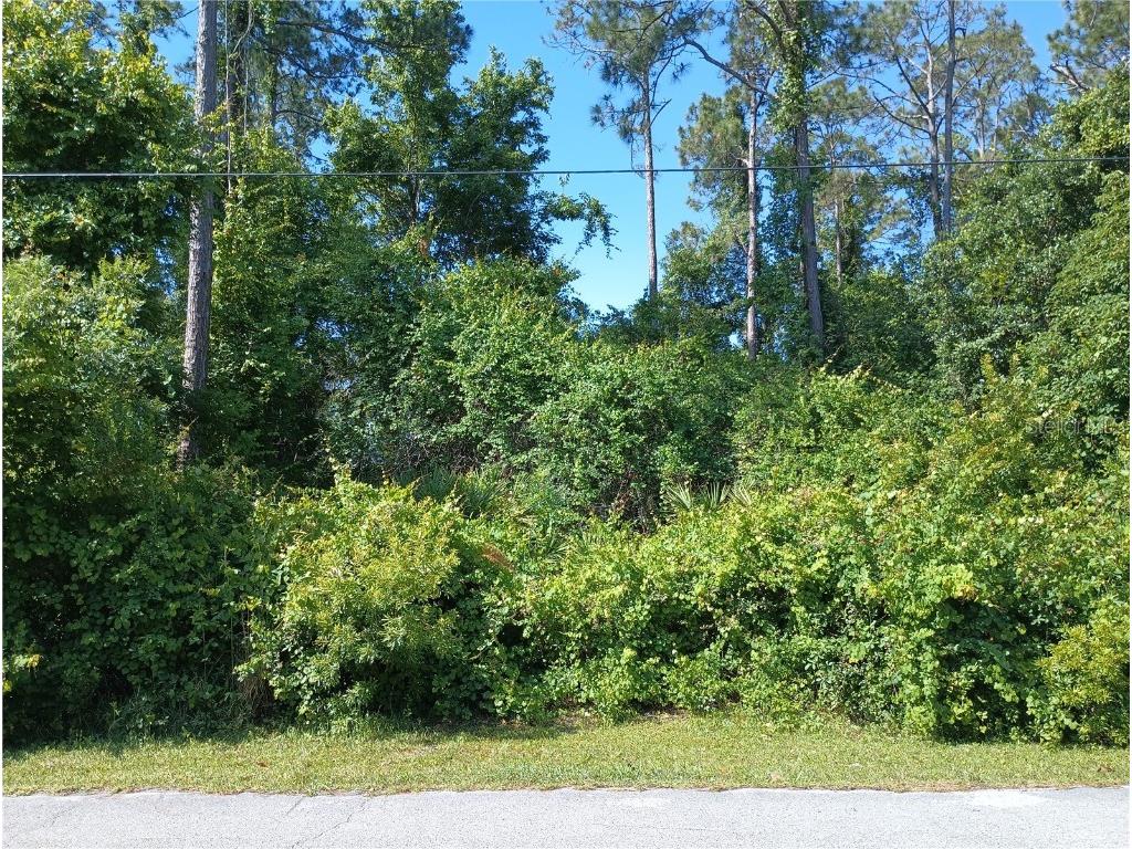 68 Rymshaw Drive Palm Coast FL 32164 FC300717 image1