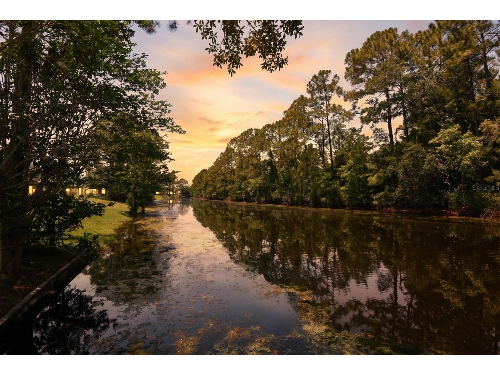 68 Webster Lane Palm Coast FL 32164 FC318593 image32
