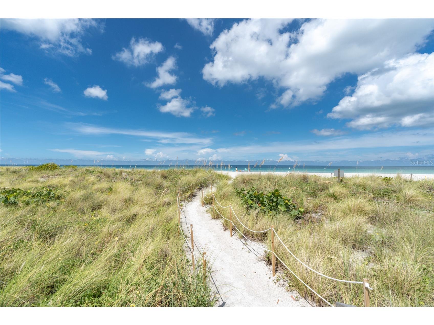 680 71st Avenue #14 Saint Pete Beach FL 33706 TB8342606 image38