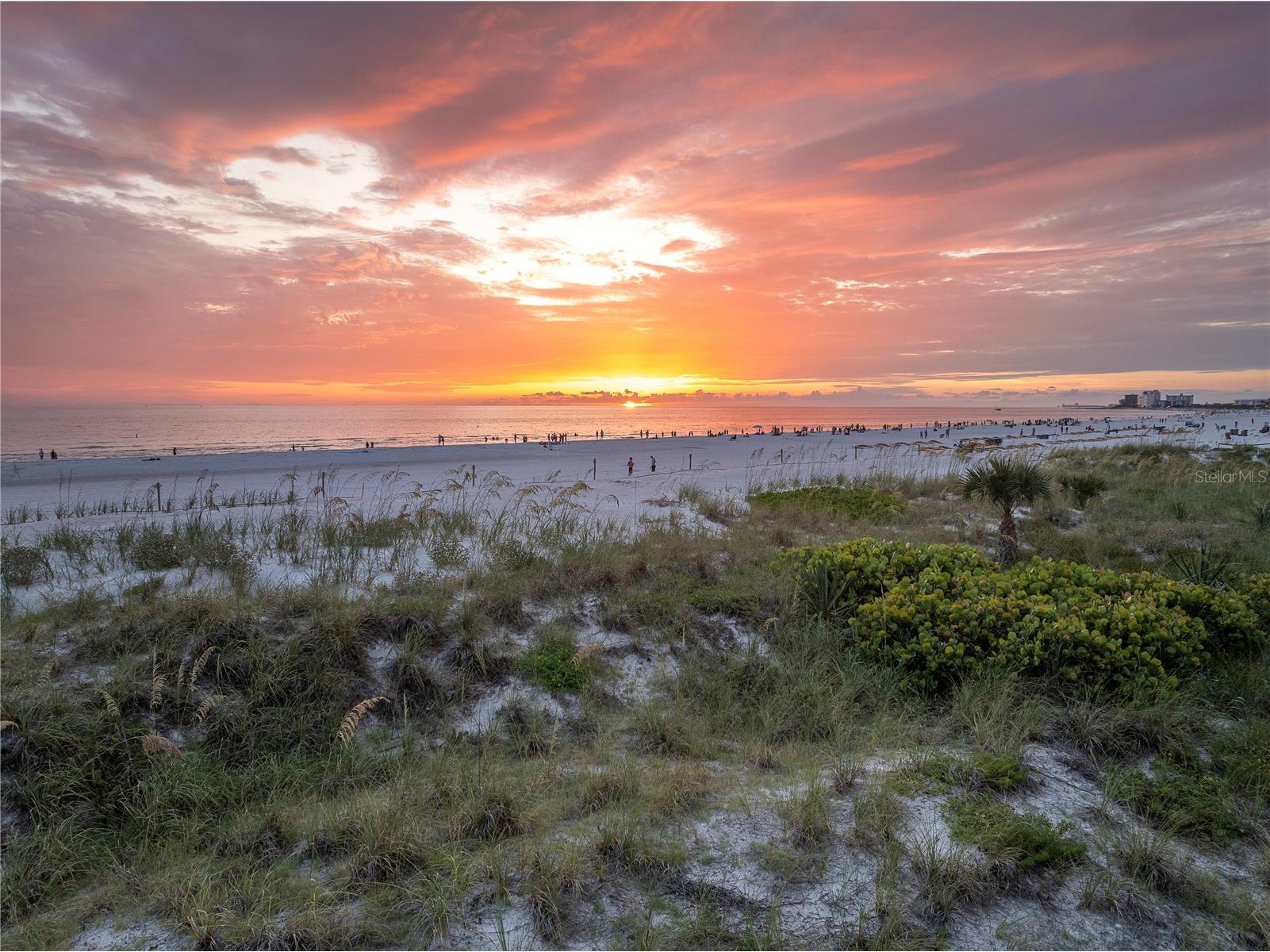 680 71st Avenue #14 Saint Pete Beach FL 33706 TB8342606 image43