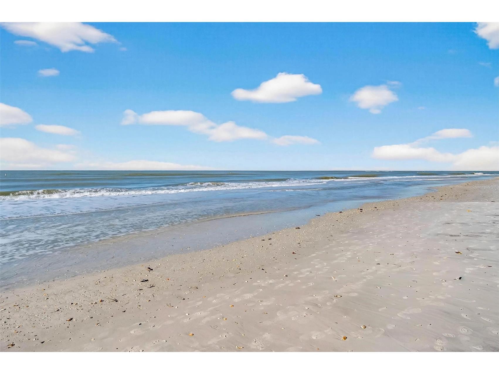 680 71st Avenue #5 Saint Pete Beach FL 33706 TB8466431 image13