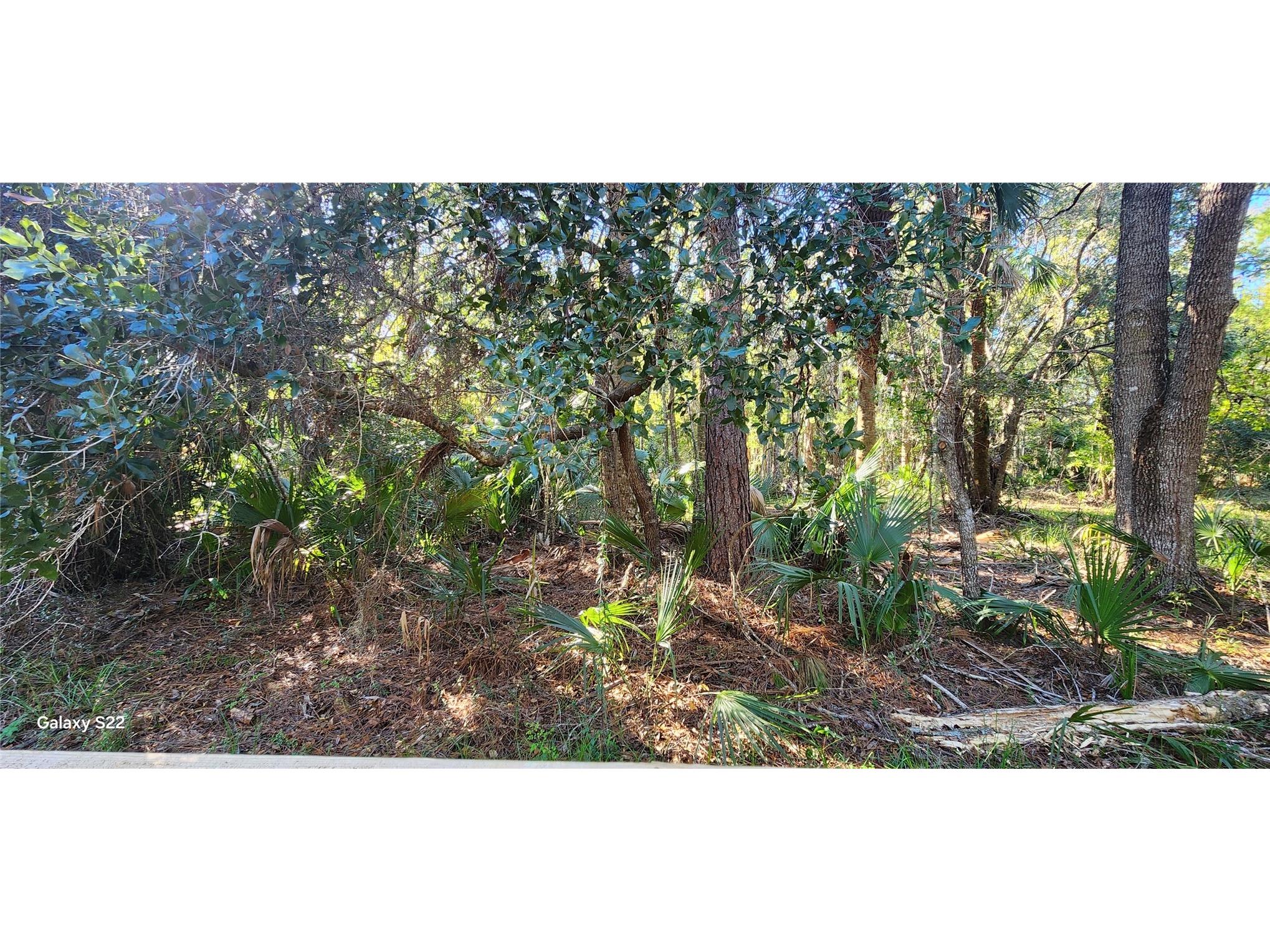 680 E Black Point Road Bunnell FL 32110 FC315581 image14