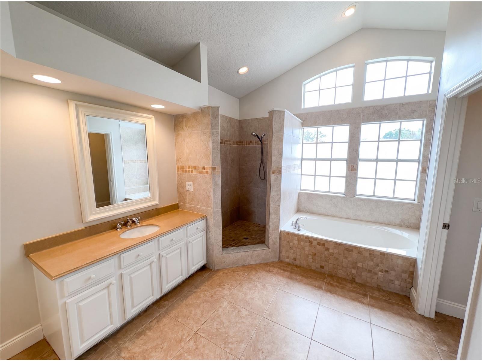 680 Macglenross Drive Oviedo FL 32765 O6403030 image17