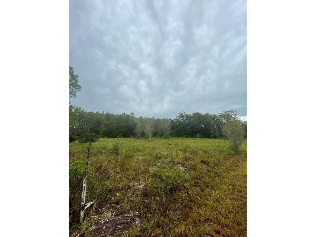 680 School Street Bronson FL 32621 O6348956 image2