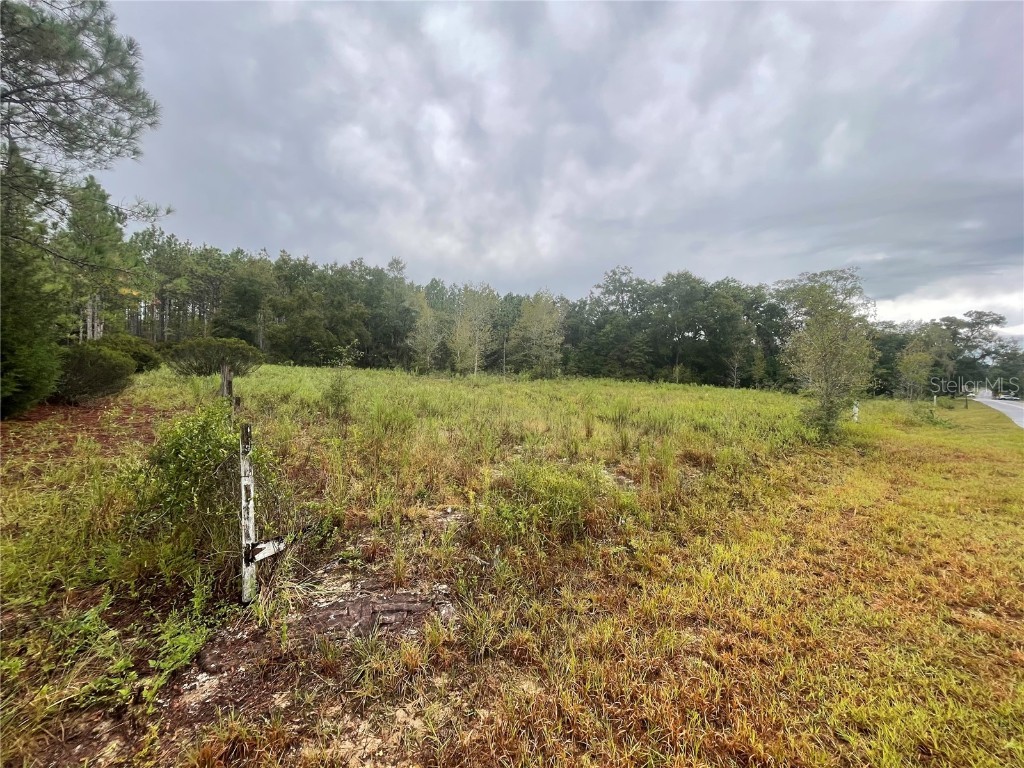 680 School Street Bronson FL 32621 O6348956 image4