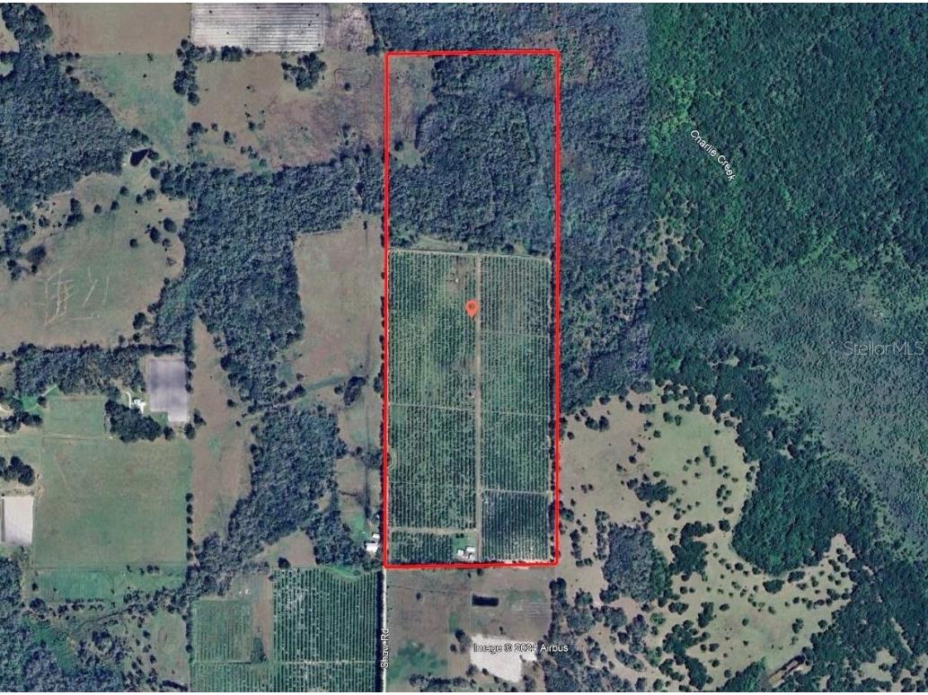 680 Shaw Road Wauchula FL 33873 P4930756 image1