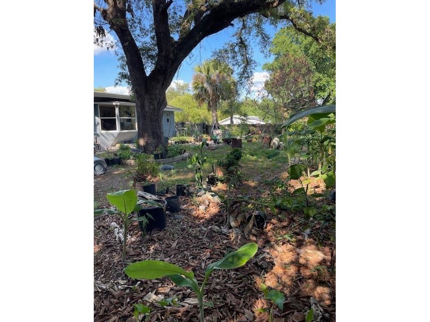 6800 Anoka Drive Orlando FL 32818 O6400569 image26