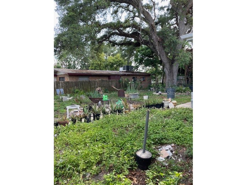 6800 Anoka Drive Orlando FL 32818 O6400569 image27