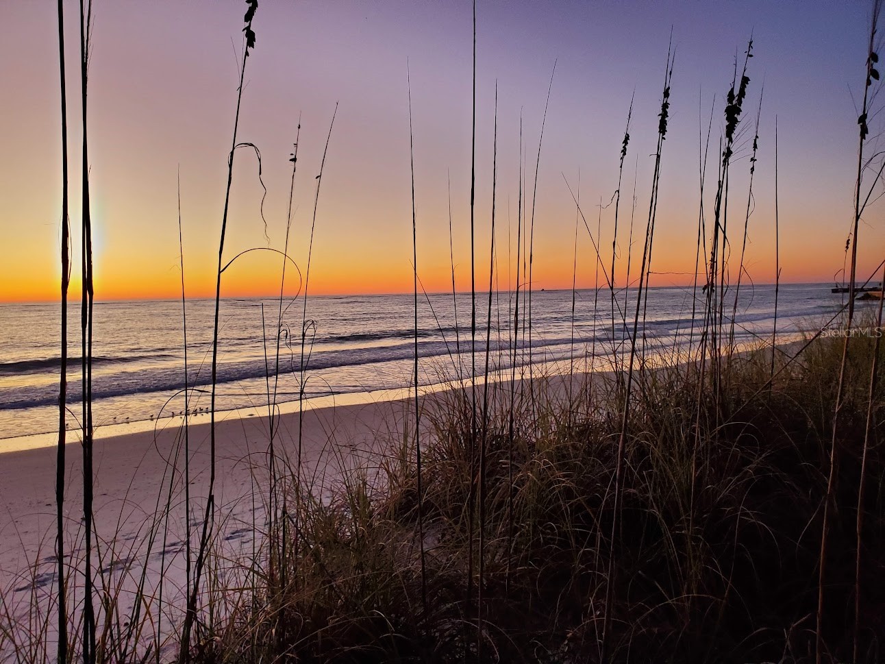 6800 Gulf Of Mexico Drive #184 Longboat Key FL 34228 A4687722 image37
