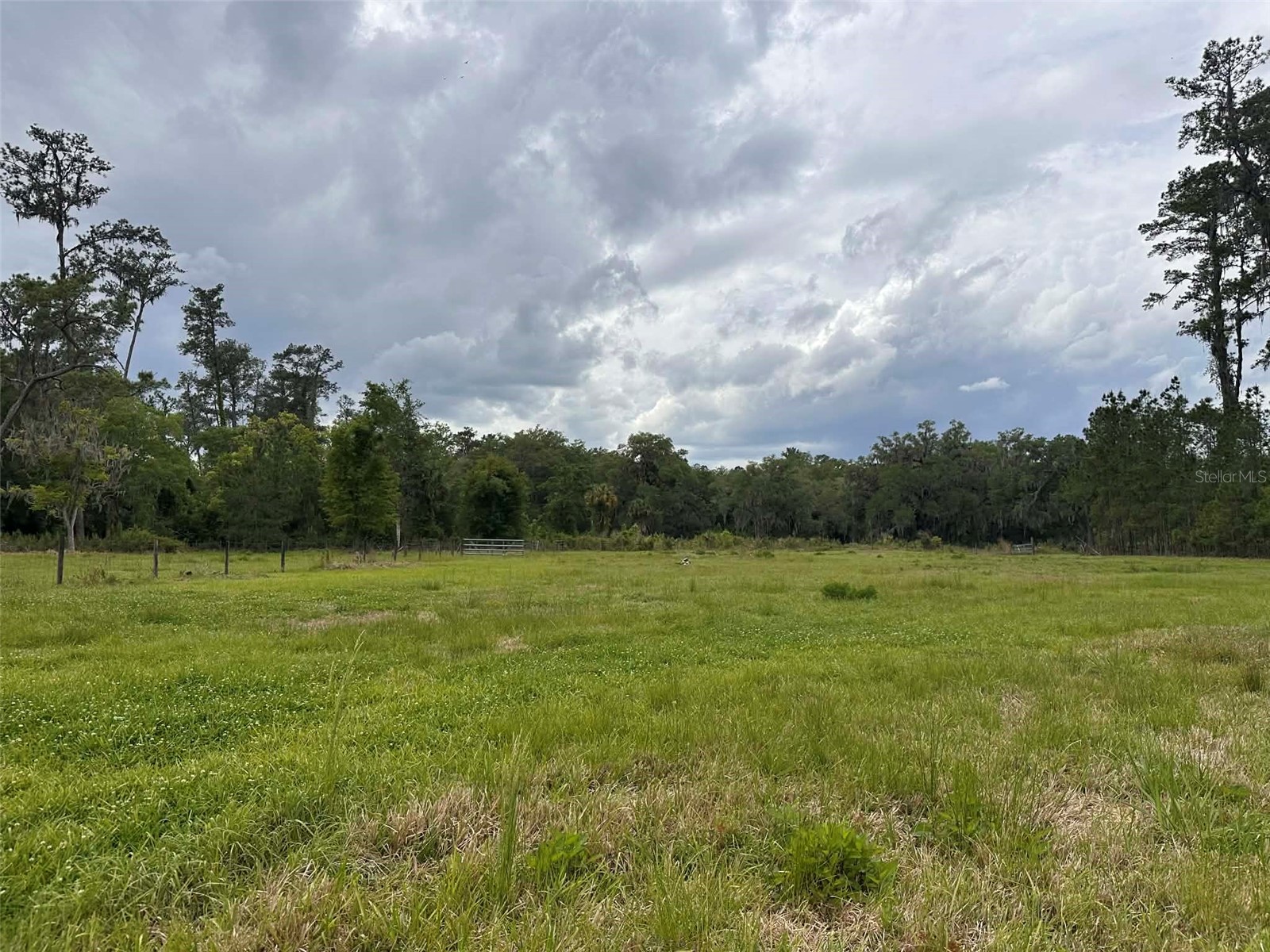 6800 NE 175th St. Road Citra FL 32113 OM722444 image16