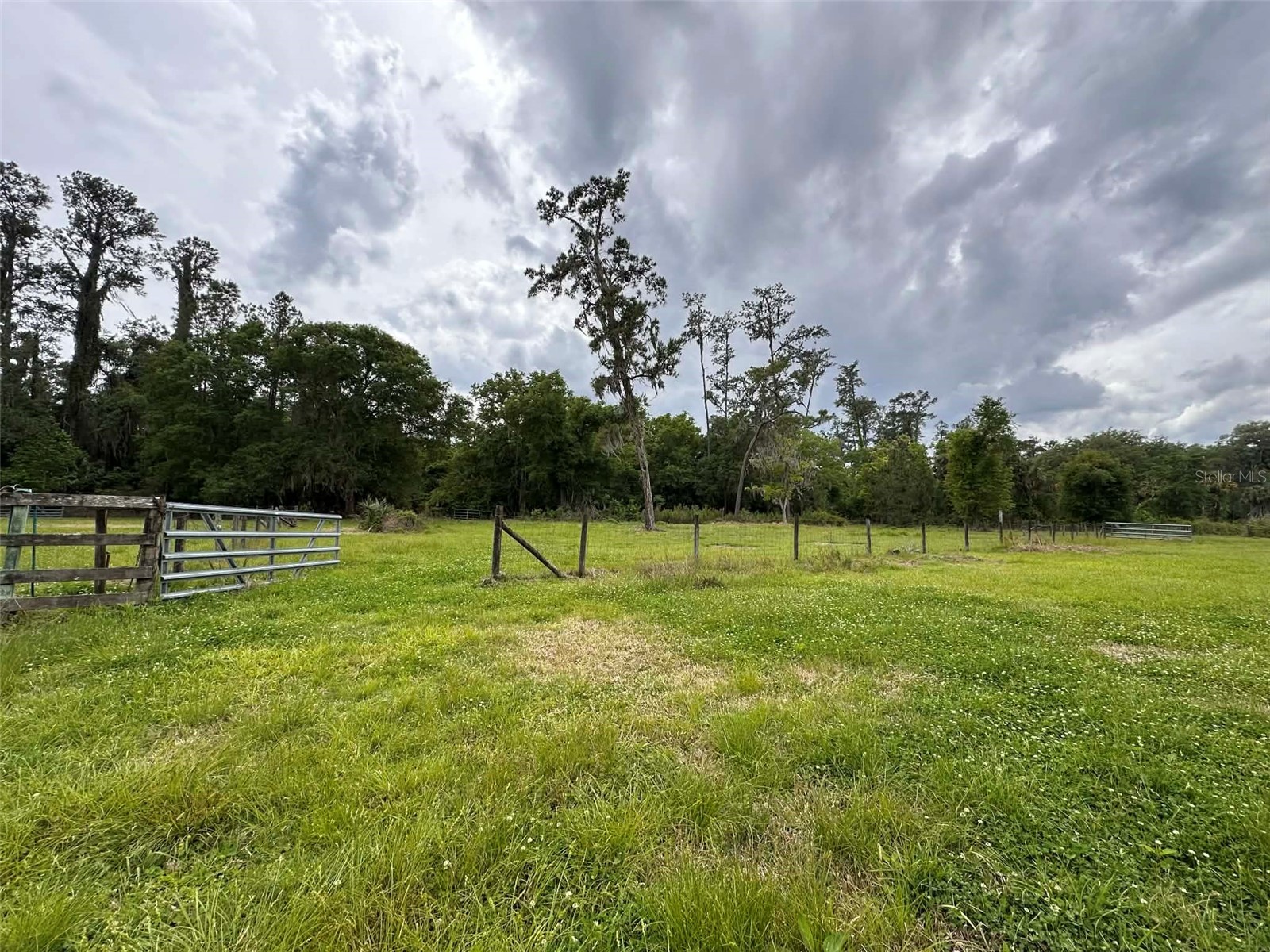 6800 NE 175th St. Road Citra FL 32113 OM722444 image17