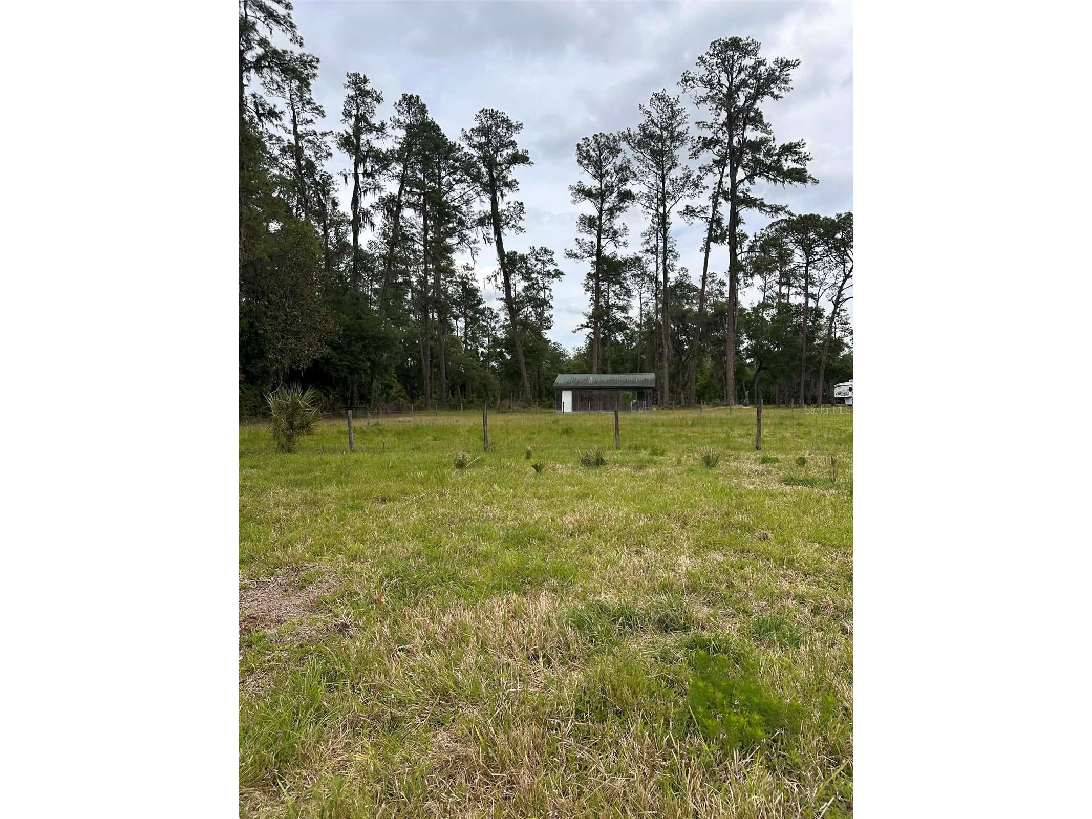 6800 NE 175th St. Road Citra FL 32113 OM722444 image18