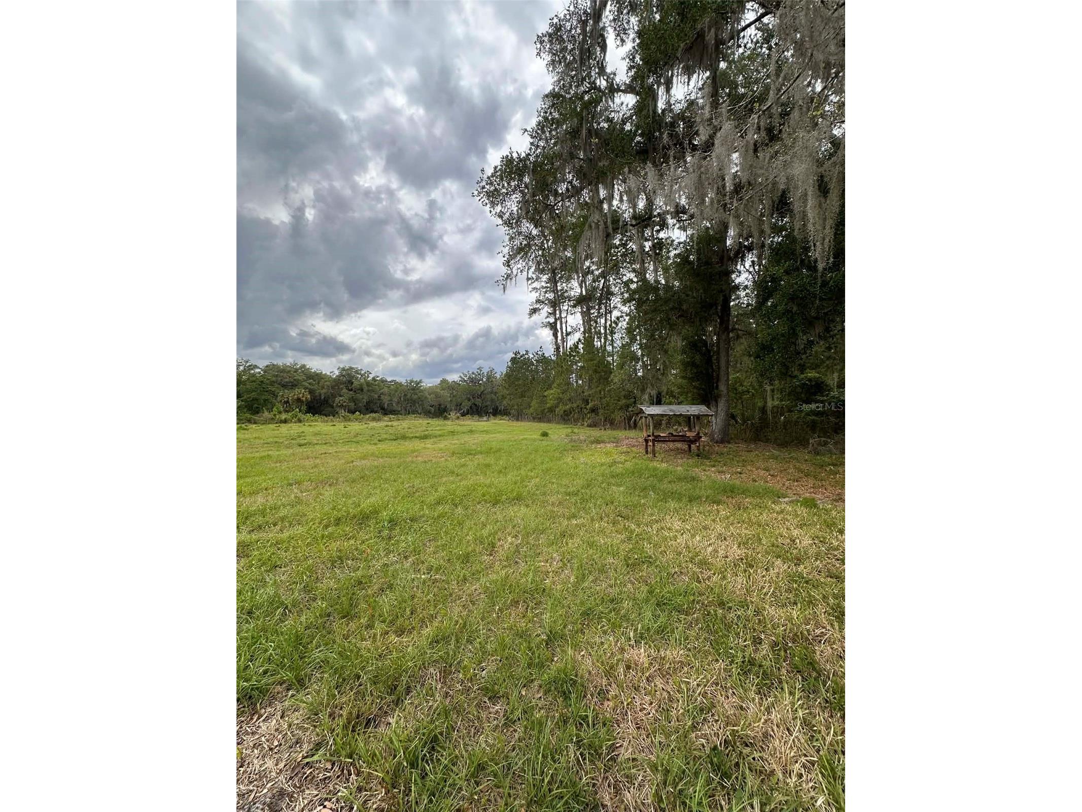 6800 NE 175th St. Road Citra FL 32113 OM722444 image19