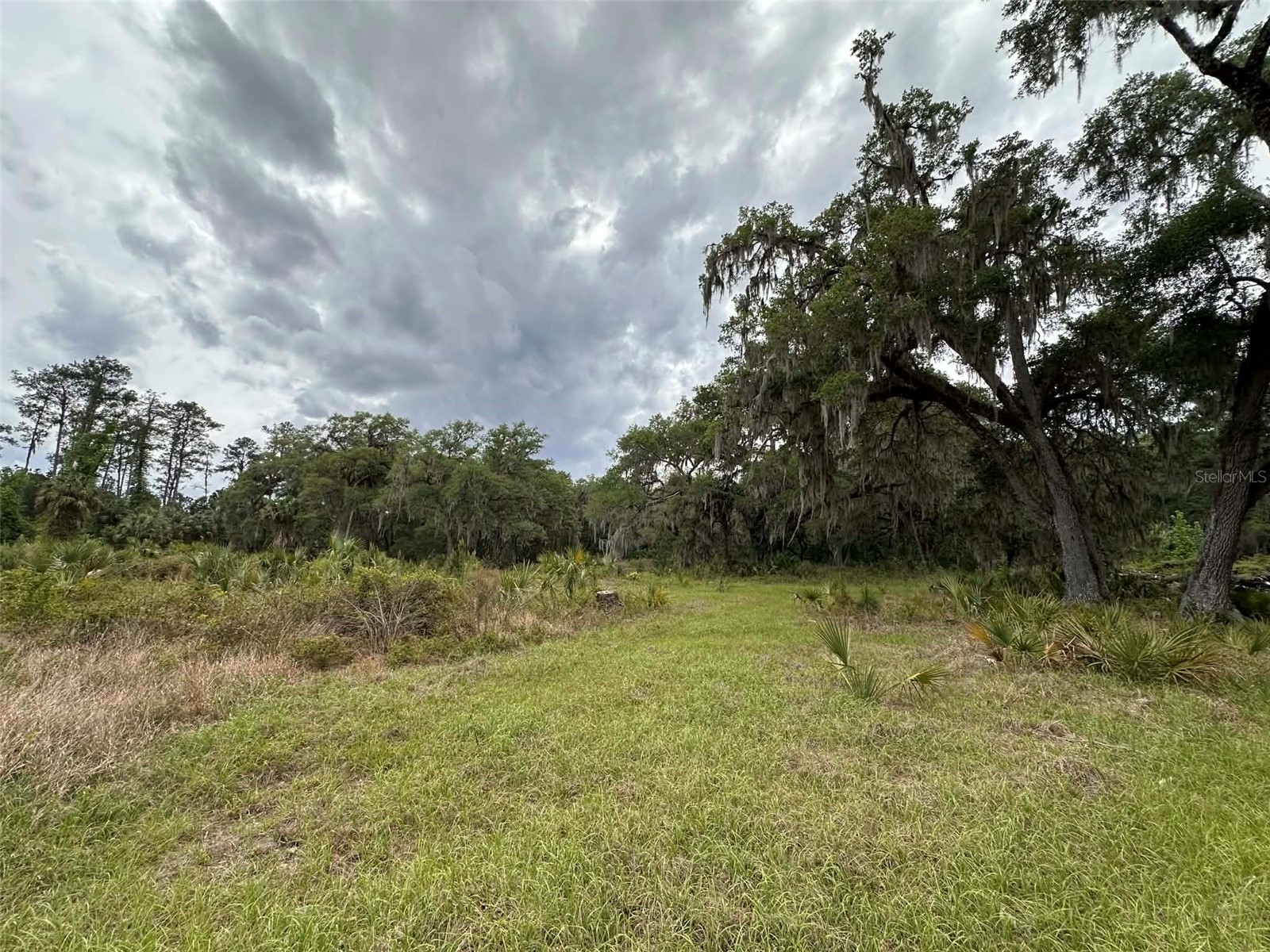 6800 NE 175th St. Road Citra FL 32113 OM722444 image20