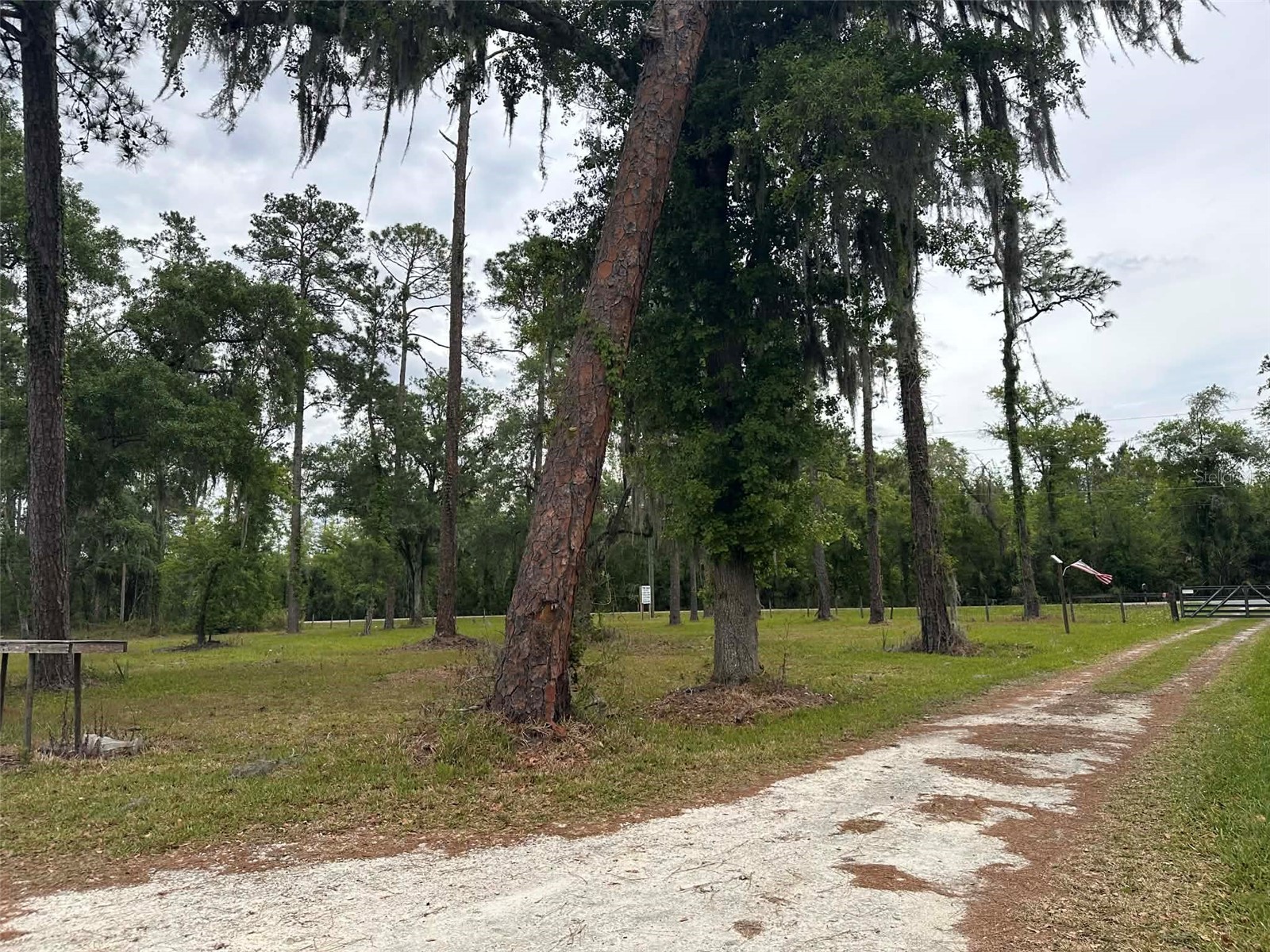 6800 NE 175th St. Road Citra FL 32113 OM722444 image5