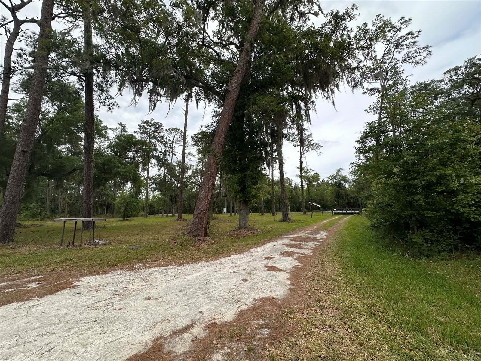 6800 NE 175th St. Road Citra FL 32113 OM722444 image6