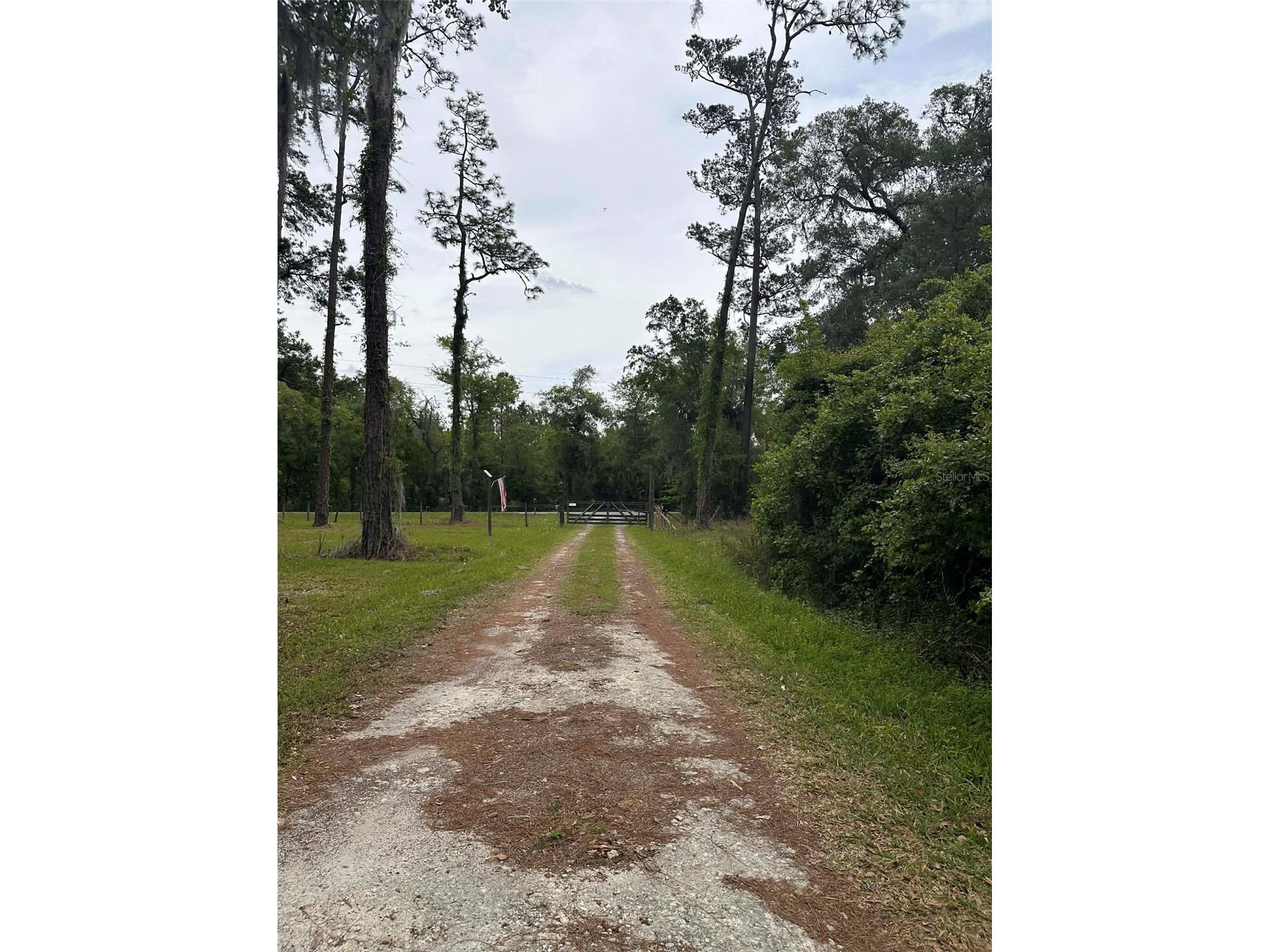 6800 NE 175th St. Road Citra FL 32113 OM722444 image7
