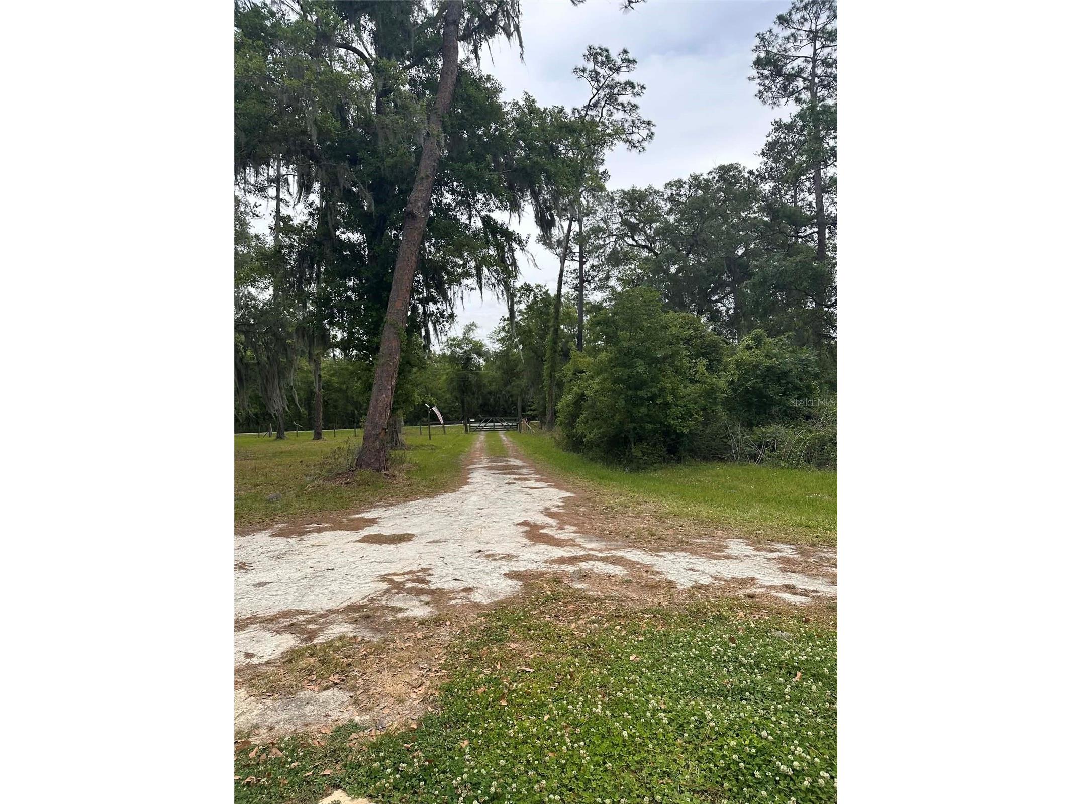 6800 NE 175th St. Road Citra FL 32113 OM722444 image8