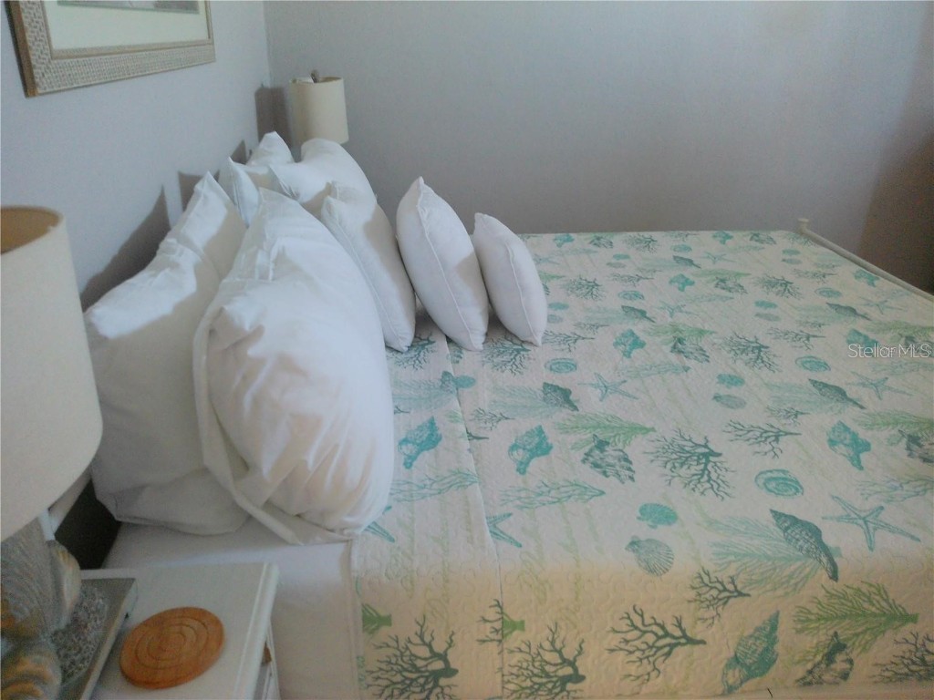 6800 Sunset Way #1503 Saint Pete Beach FL 33706 TB8454340 image17