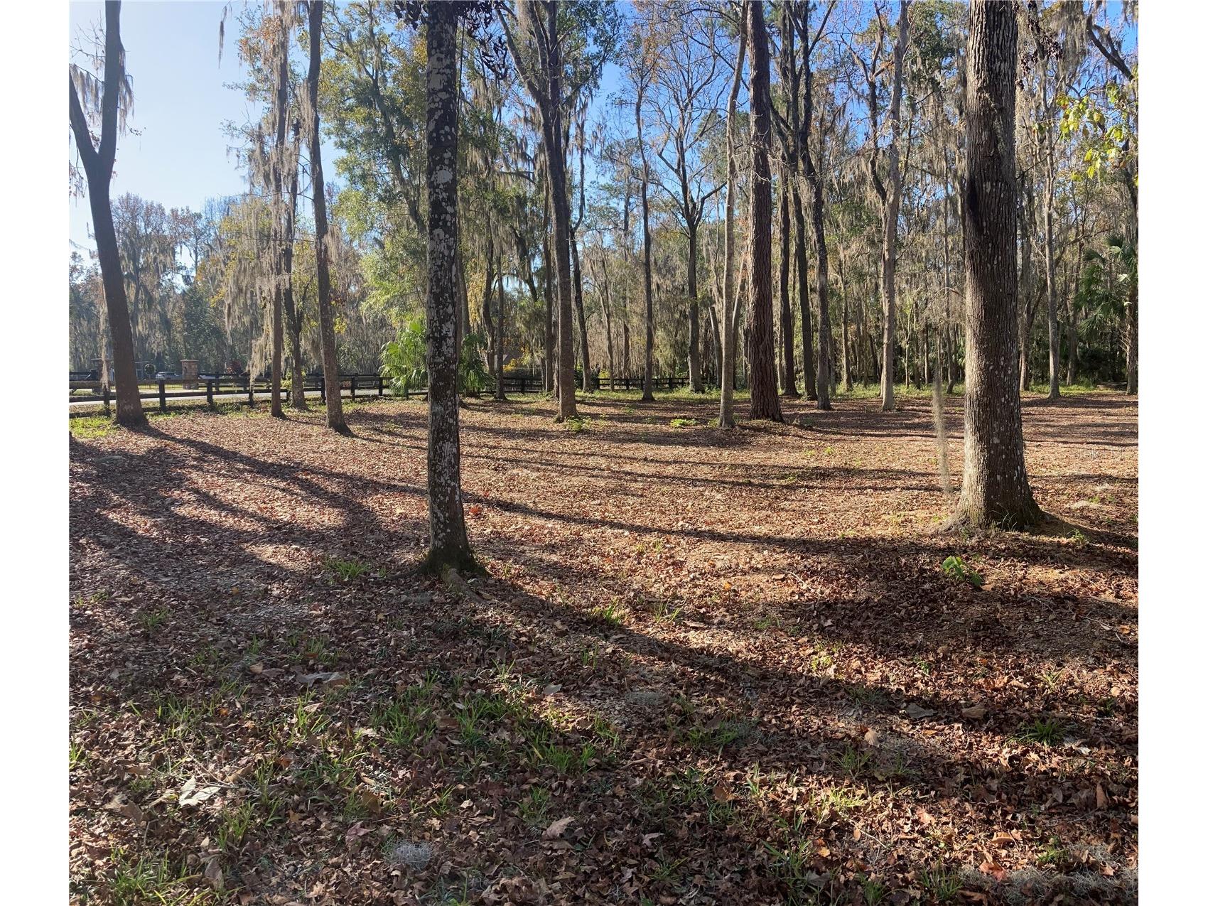 6800 SW 18th Terrace Road Ocala FL 34476 A4680576 image72