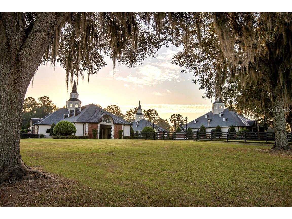 6800A NW 193rd Street #OPTION 1 Micanopy FL 32667 OM691209 image12