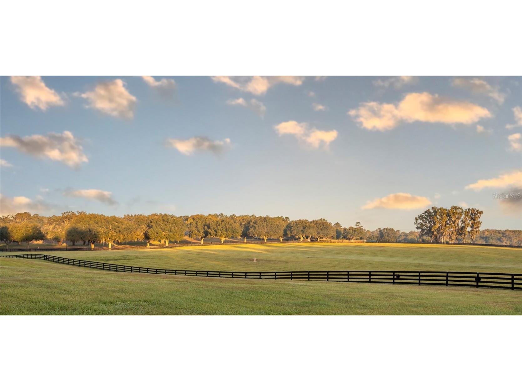 6800A NW 193rd Street #OPTION 1 Micanopy FL 32667 OM691209 image14