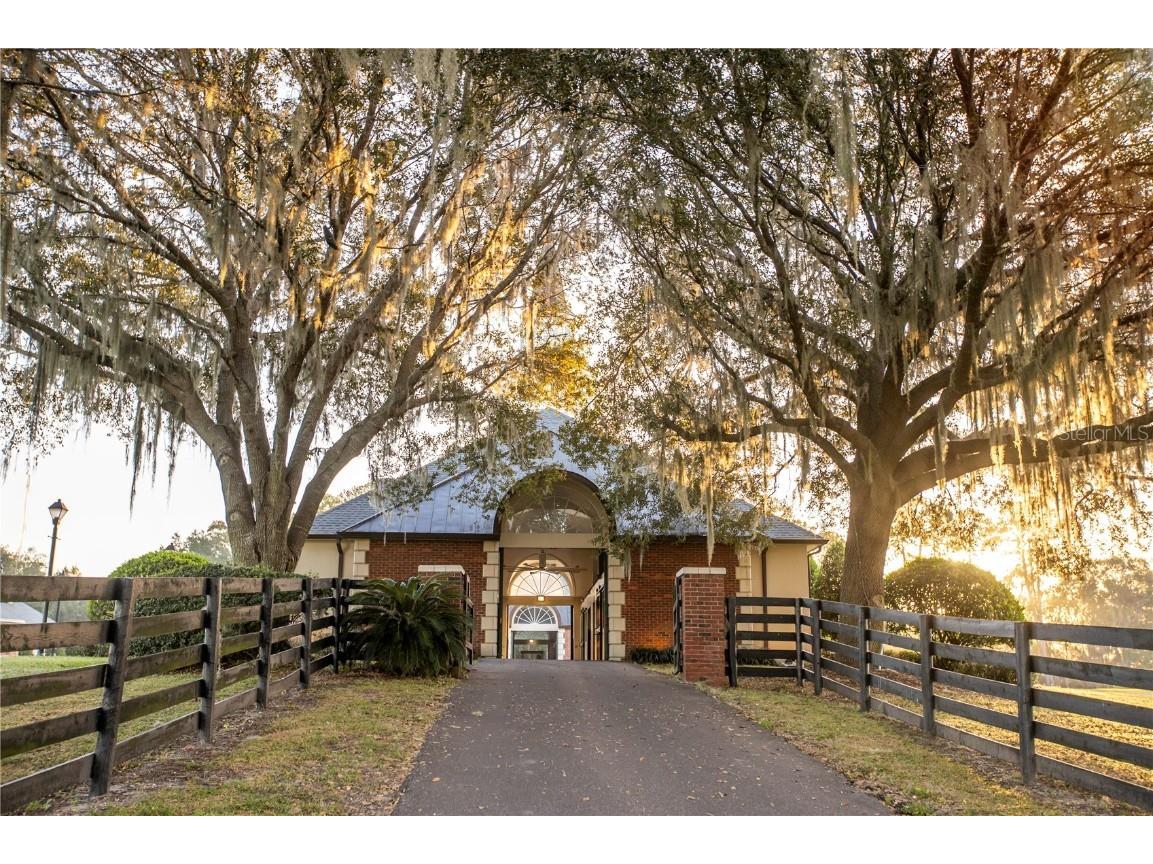 6800A NW 193rd Street #OPTION 1 Micanopy FL 32667 OM691209 image15