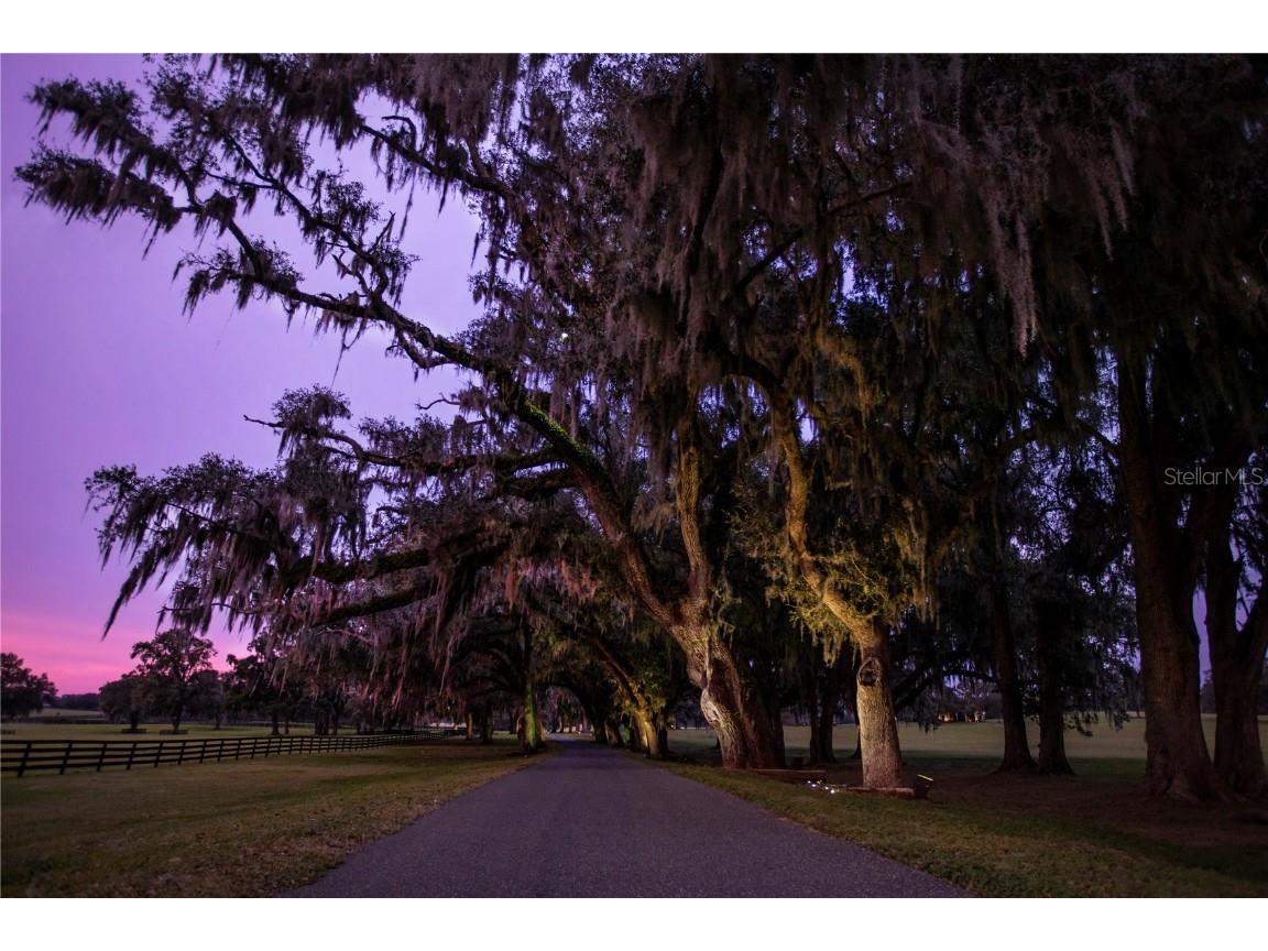 6800A NW 193rd Street #OPTION 1 Micanopy FL 32667 OM691209 image18