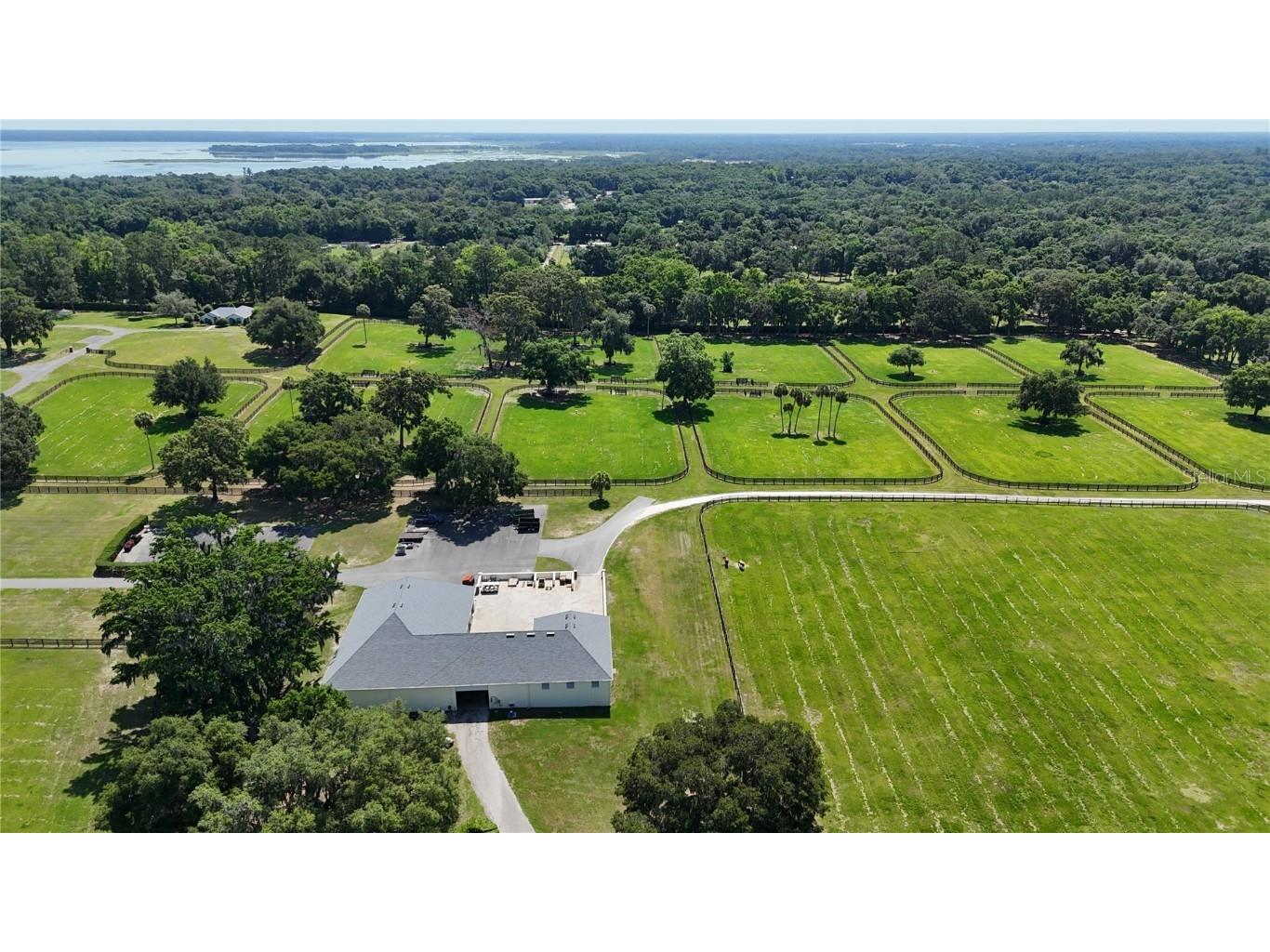 6800A NW 193rd Street #OPTION 1 Micanopy FL 32667 OM691209 image28