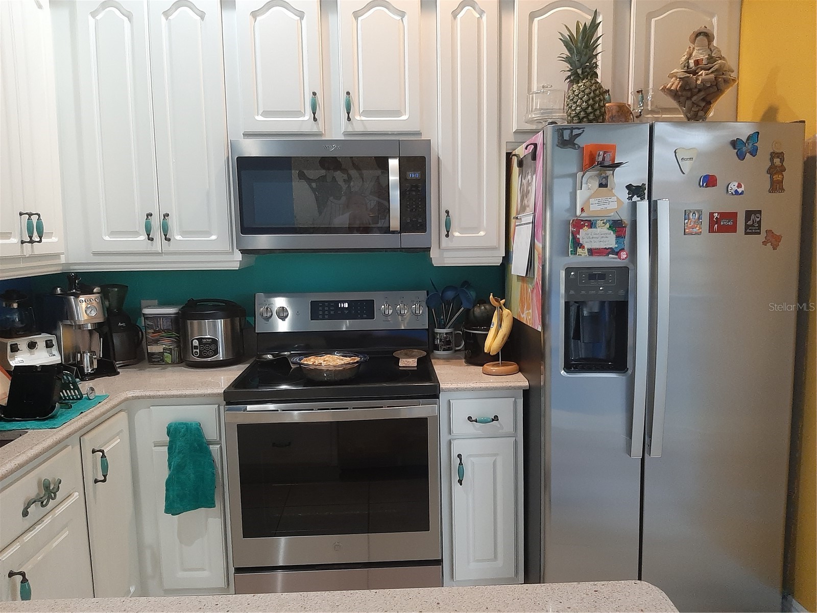 6801 Dali Avenue #206 Land O Lakes FL 34637 TB8465860 image17