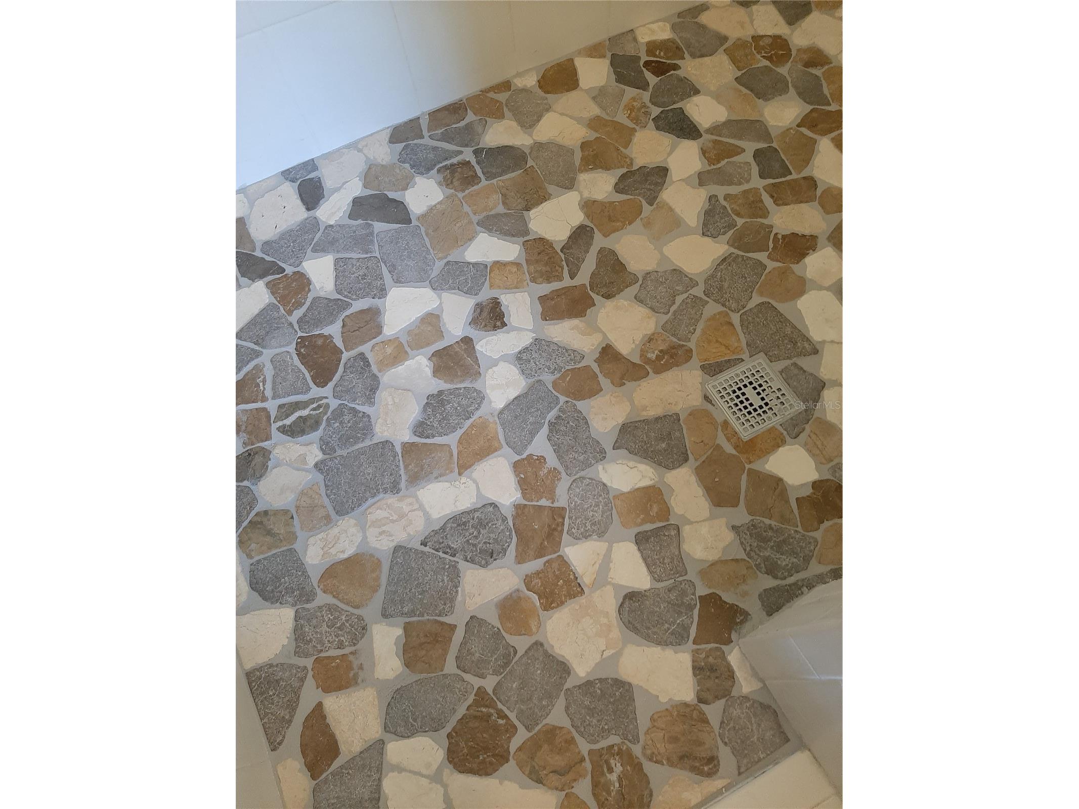 6801 Dali Avenue #206 Land O Lakes FL 34637 TB8465860 image18