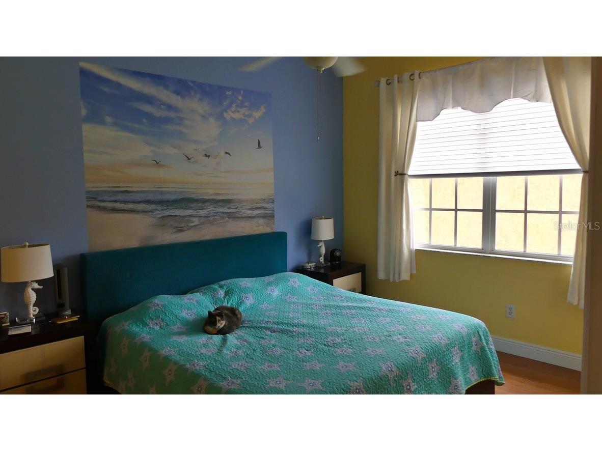 6801 Dali Avenue #206 Land O Lakes FL 34637 TB8465860 image2