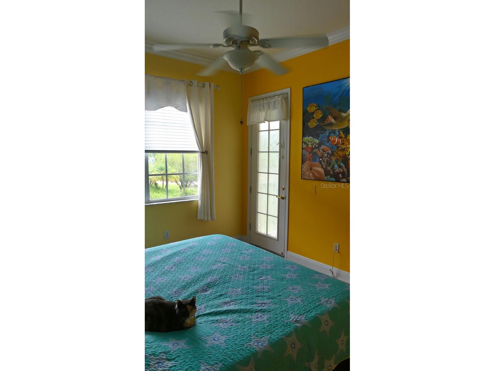 6801 Dali Avenue #206 Land O Lakes FL 34637 TB8465860 image4