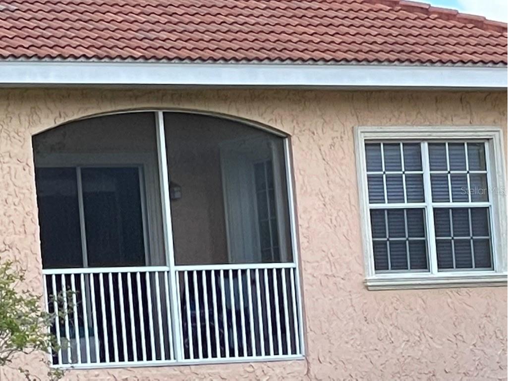 6801 Dali Avenue #206 Land O Lakes FL 34637 TB8465860 image5