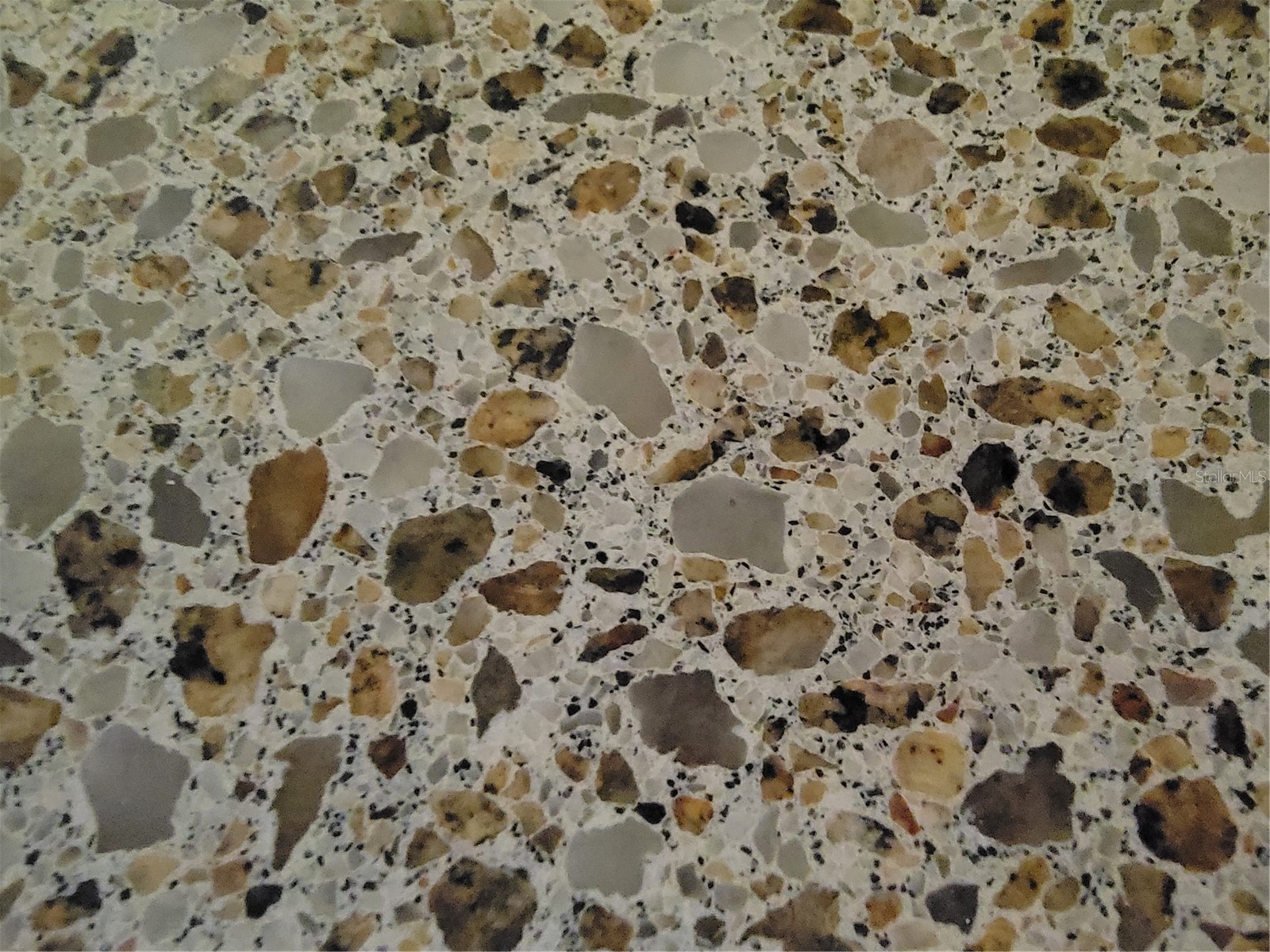 6801 Dali Avenue #206 Land O Lakes FL 34637 TB8465860 image9