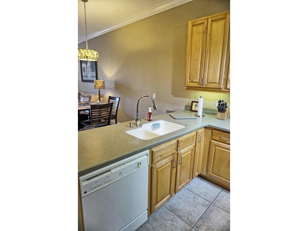 6801 Dali Avenue #G104 Land O Lakes FL 34637 W7871990 image12