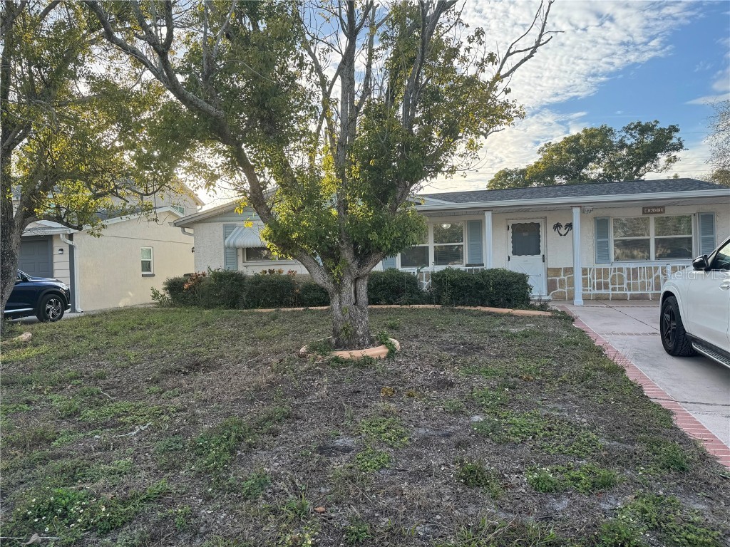 6801 Jackson Street New Port Richey FL 34653 T3493447 image1