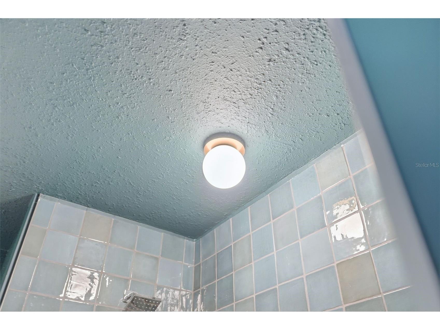 6801 Pinellas Point Drive S Saint Petersburg FL 33712 TB8506684 image49
