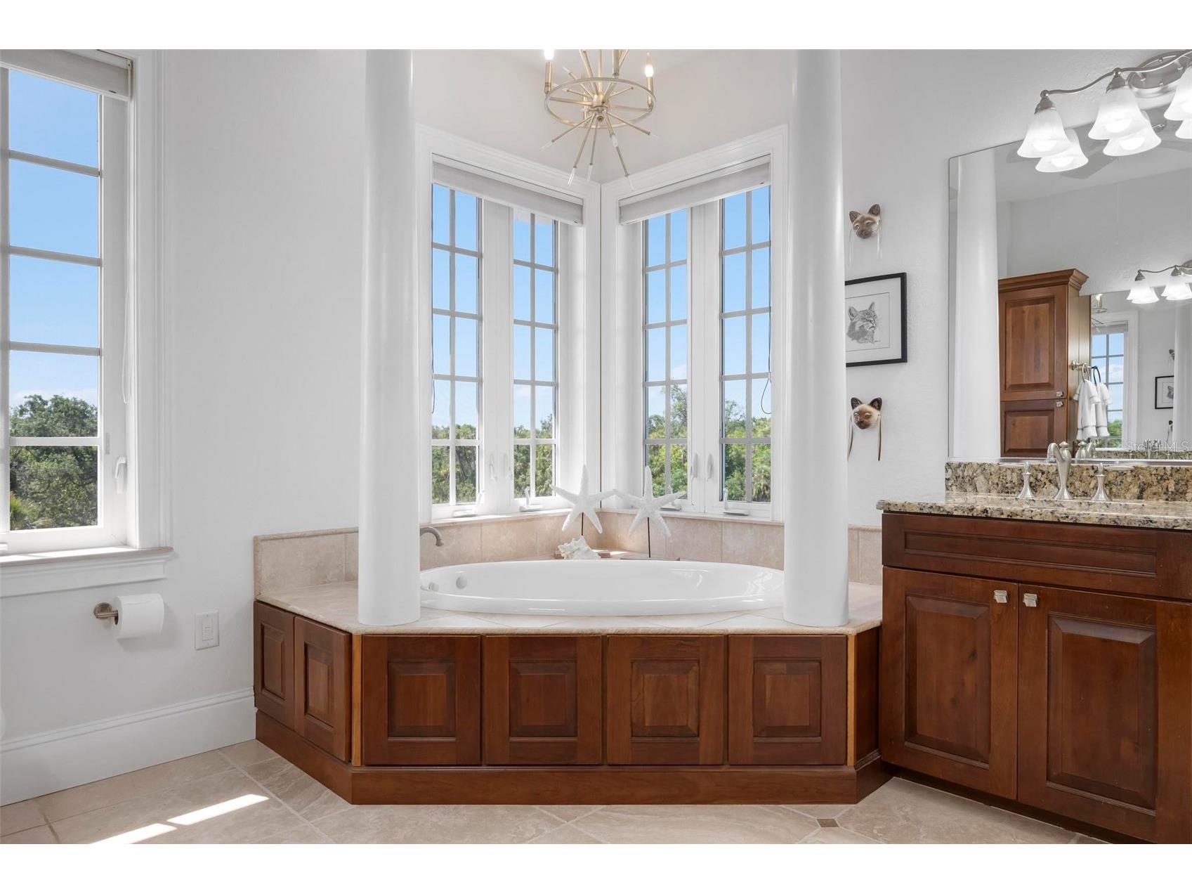 6802 68th Avenue E Bradenton FL 34203 - BRADEN RIVER A4649360 image54