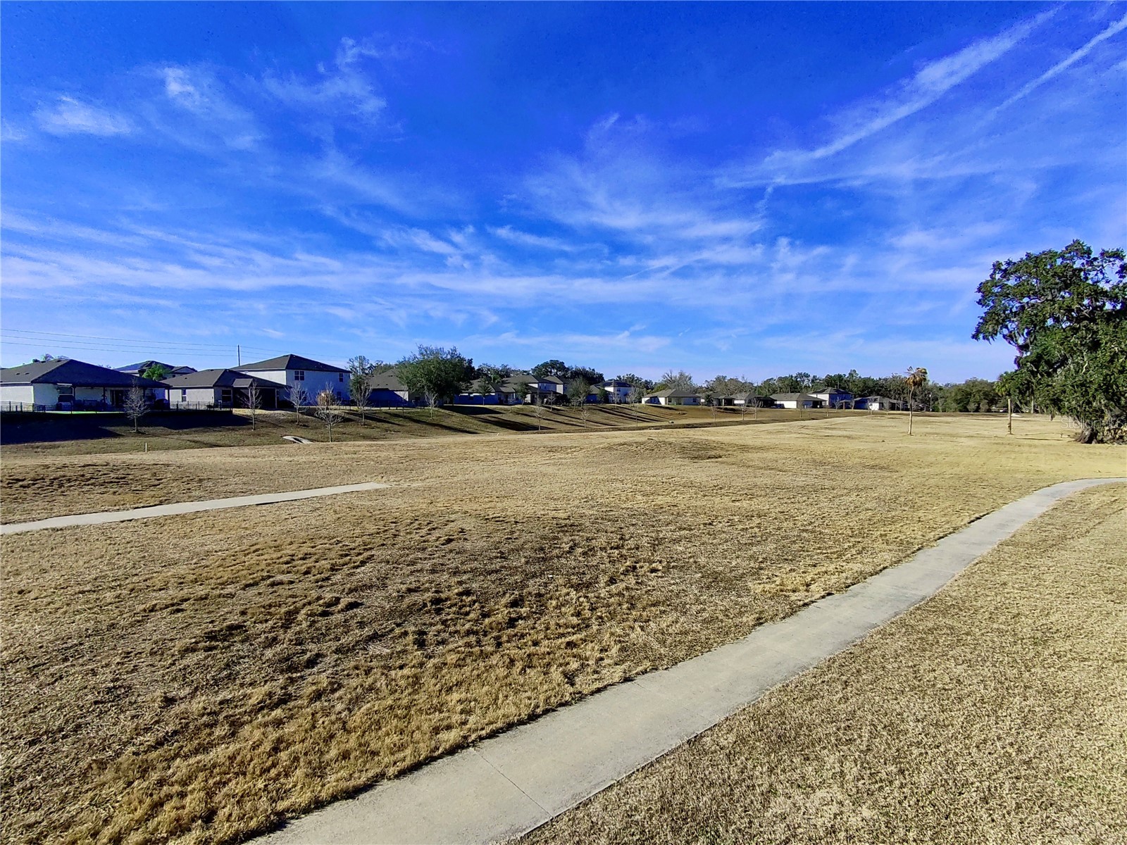6803 Branham Mill Court Zephyrhills FL 33542 TB8488089 image26