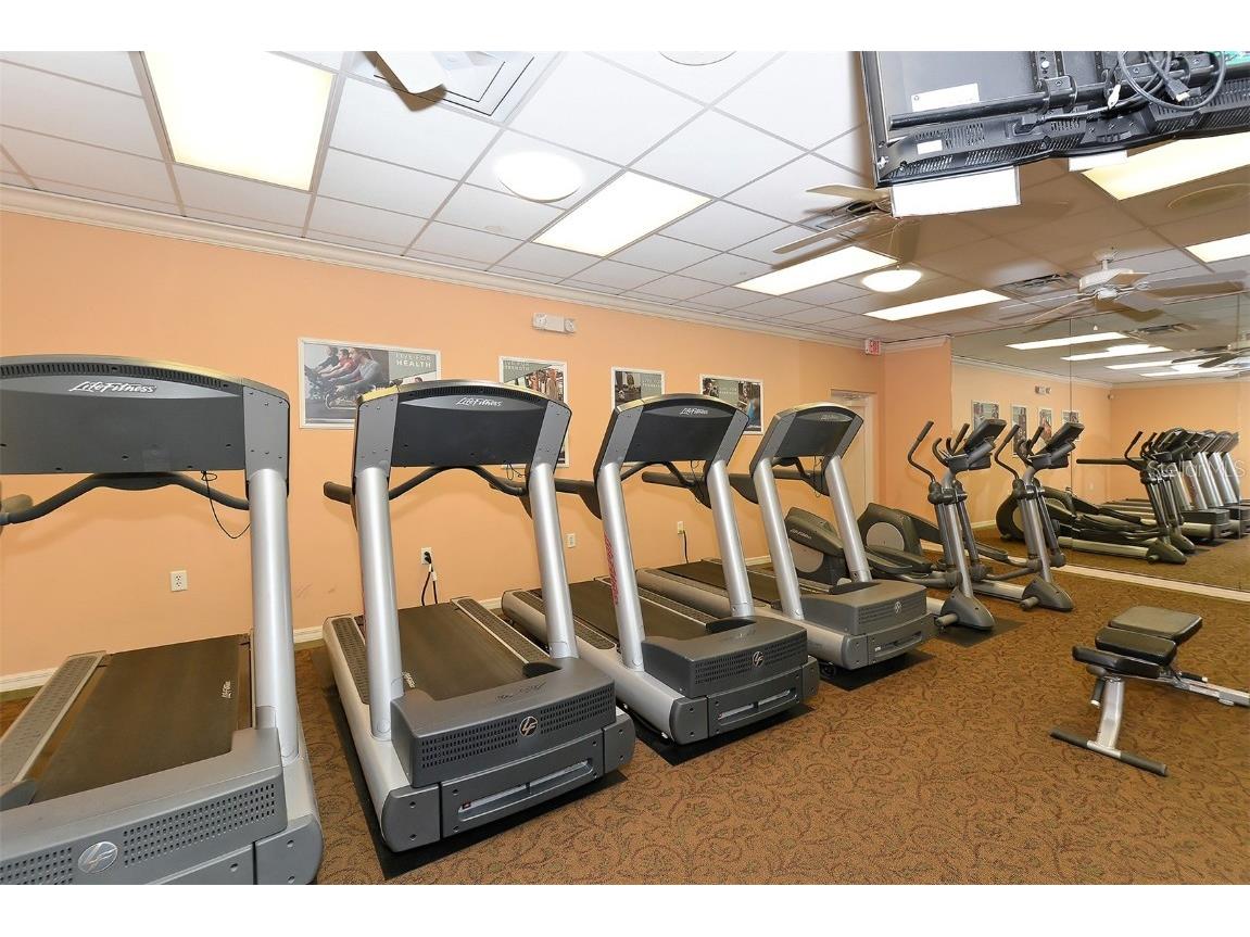 6803 Drewrys Bluff Bradenton FL 34203 A4667205 image65